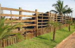 Esteio - Imagem 8