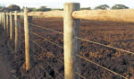 Linha Rural - Imagem 3