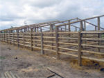 Linha Rural - Imagem 5