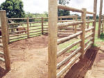 Linha Rural