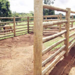 Linha Rural