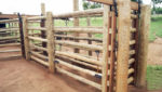 Linha Rural - Imagem 7