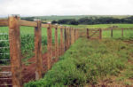 Linha Rural - Imagem 8
