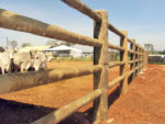 Linha Rural - Imagem 9
